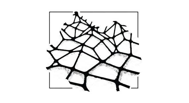 Abstract mesh structure with irregular geometric connections is framed within a square.