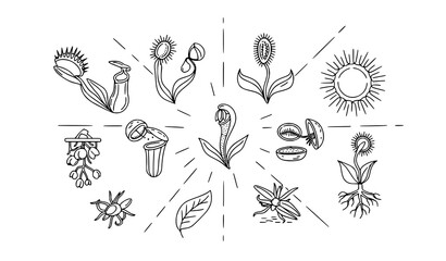 Modern carnivorous plants linear icon pack with venus flytrap pitcher plant and exotic botanical elements © Lipi
