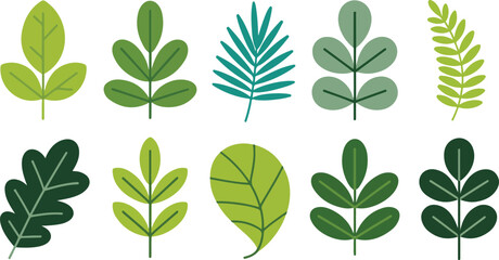 Naklejka premium Set of stylized green leaves and branches isolated on white background vector illustration
