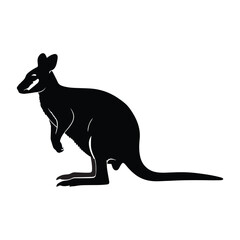 kangaroo vector illustration © koushik