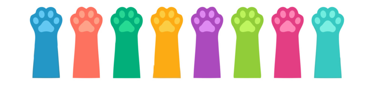 cat paws