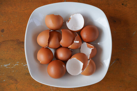 Eggshells are ready to be used as organic plant fertilizer