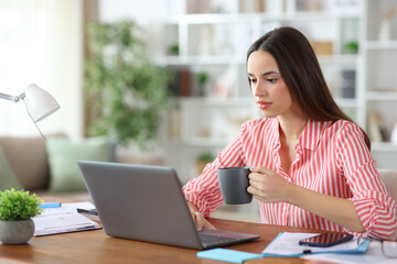 Freelance worker drinking and working online in a house