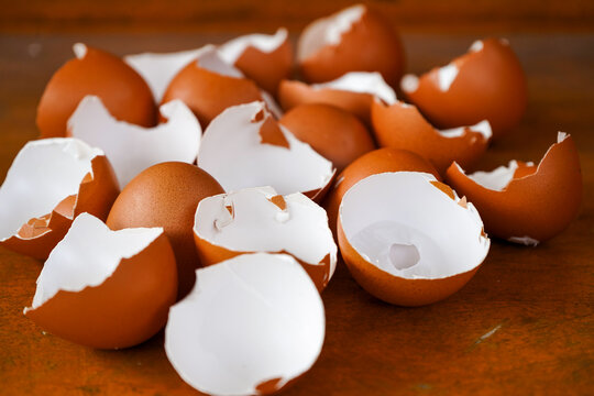 Eggshells are ready to be used as organic plant fertilizer