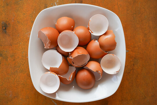 Eggshells are ready to be used as organic plant fertilizer
