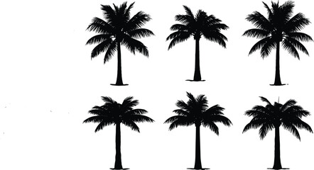 Fototapeta premium Collection of detailed black palm tree silhouettes isolated on white background, tropical coconut trees vector set for summer vacation, beach travel, and nature design.