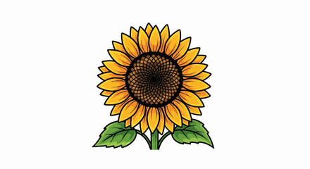 Fototapeta premium Vibrant sunflower with yellow petals, dark center, and green leaves on white
