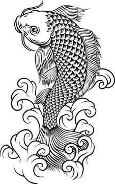 A koi carp coy fish. An original illustration in a vintage Japanese woodcut art style.
