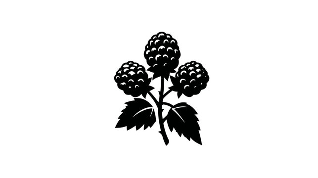 Black silhouette of three blackberries on stems with leaves, isolated