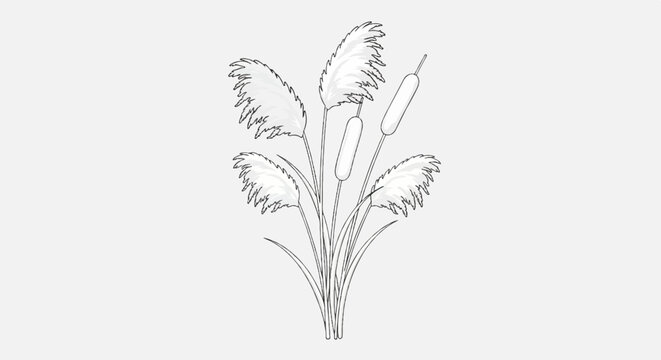 Stylized outline drawing of reed and cattail plants on a gray background