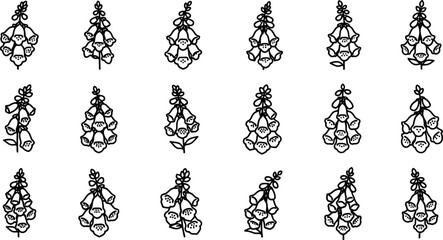Collection of black and white foxglove flower digitalis floral plant © GR Graphics
