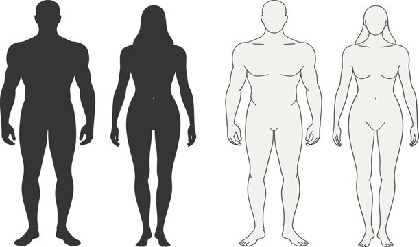 Human body silhouettes and outline drawings comparing male and female forms with muscular and slim builds, posture, anatomy, and design reference