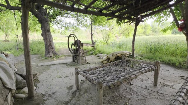 Beautiful village in Punjab, Pakistan.   