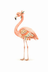 Fototapeta premium Pink flamingo bird illustration tribal pattern watercolor bohemian animal decorative calm graceful creature with ornate feather standing on white background looking serene and proud