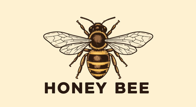 Stylized illustration of a honey bee with detailed wings and body, text below