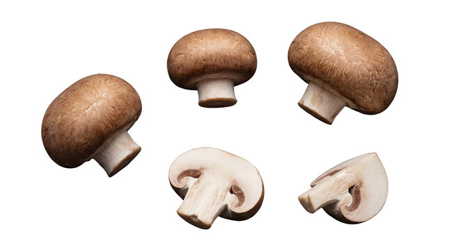Fresh brown mushrooms: whole and sliced cremini. Isolated on transparent background, ideal for culinary designs.