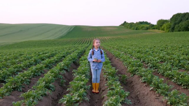 A young girl stands in a vast potato field, holding a small plant, contemplating the agricultural landscape