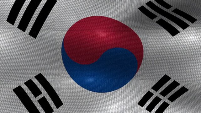 South Korea South Korean Flag Textured Background Waving