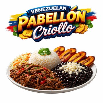 Venezuelan pabellon criollo dish on a plate, food background
