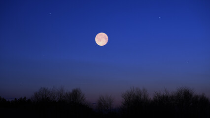 Full Moon, stars and planets above landscape silhouettes. © astrosystem