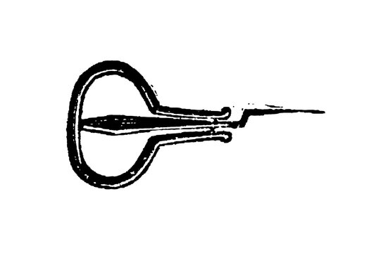 Jaw harp, stylized depiction with elegant curves and slender reed, emphasizing simplicity and musical potential, old vintage illustration, 1897.