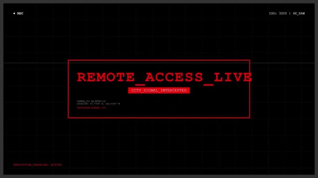 CCTV Remote Access Live Surveillance Camera Interface.