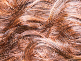 Naklejka premium Brown hair background, health beauty concept, scalp hair woman clean and clear dandruff, close up brown hair healty non problem, lifestyle medical hygiene care head.