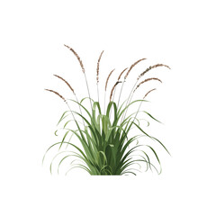 Fototapeta premium Hyper-Realistic Green Grass Tuft Illustration