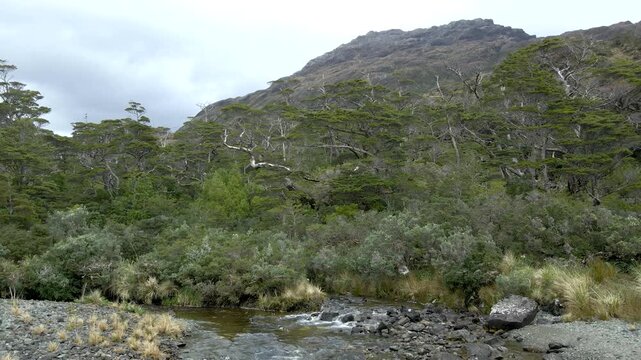 Calbuco chile patagonia river lake nature mountain trees clouds winter dusk morning drone