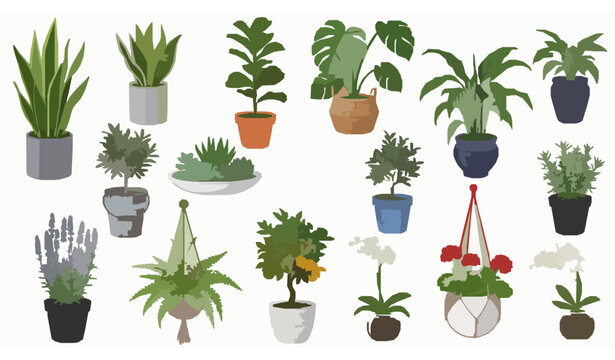 Potted plants vector set indoor outdoor green plants in flowerpots