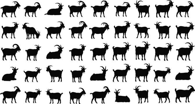 Black silhouette collection of goats in various poses standing walking and sitting isolated on white background for livestock farming and animal nature concepts.