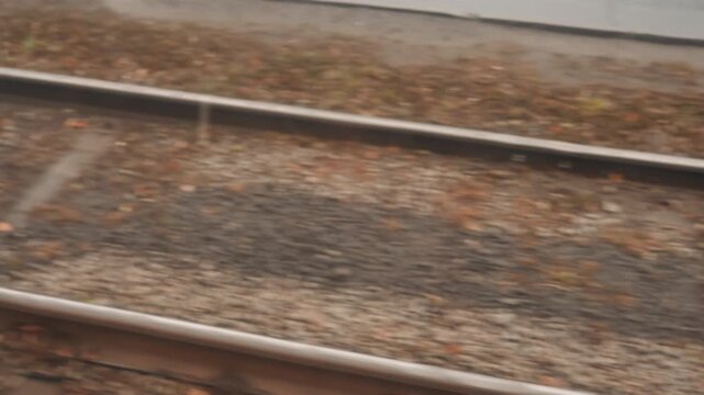 Rusty rails rolling beneath passing train, creator documenting repetitive sleepers, ballast, autumn debris, earthy stones, rhythmic lines and steady motion, ambient overcast light