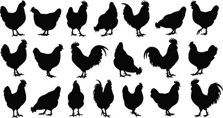 Set of diverse wild big cat silhouettes featuring majestic lions and Bengal tigers in various standing, walking, and sitting poses for wildlife conservation projects. © MstAshida