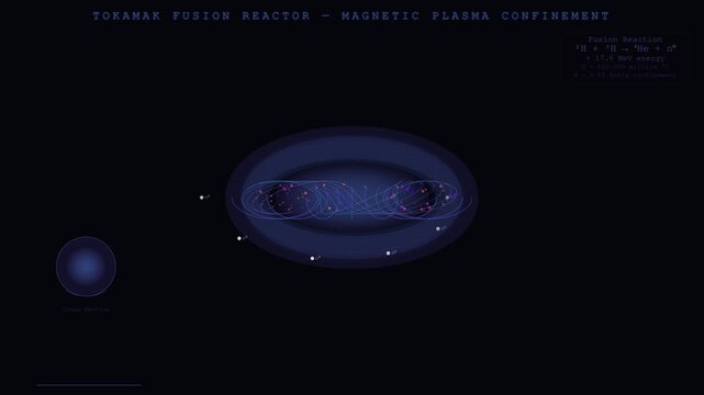 Tokamak