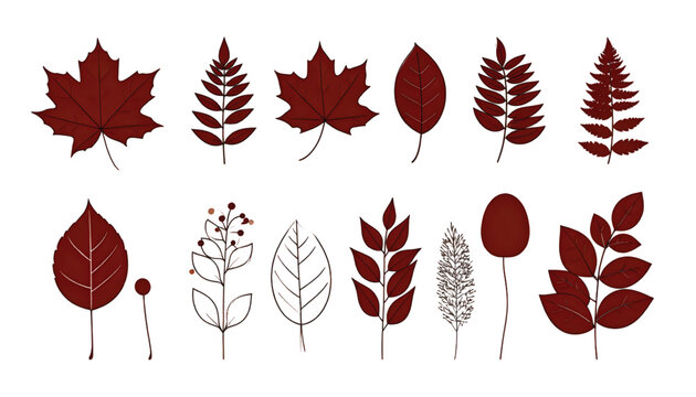 Diverse autumn leaves in varying shapes and colors on a plain background
