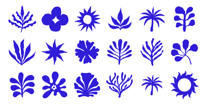 Vector logo and print design templates, summer palms, tropical hand drawn illustrations, surfing concepts, vacation and travel,  doodles and organic shapes and forms