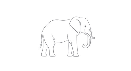Fototapeta premium Simple Line Drawing of an African Elephant on White Background