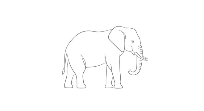 Simple Line Drawing of an African Elephant on White Background