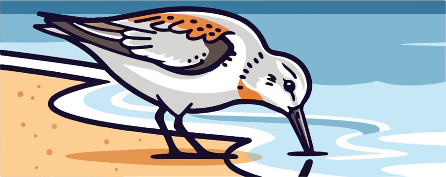 A sandpiper dips its beak into shallow, rippling water on a beach