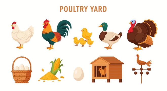 Poultry yard farm animals and icons.