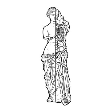 Black and white line art drawing of a half antique venus statue and half skeleton for gothic tattoo design