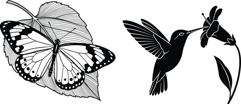 Black and white silhouette vector set featuring a butterfly on a leaf and a hummingbird drinking nectar from a flower for nature designs.