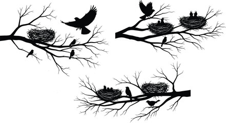 Black bird silhouettes on tree branches with nests and hungry chicks, flying songbirds in nature, wildlife habitat vector illustration for design © Moskirul