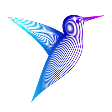 Hummingbird wireframe colorful line art. Abstract bird made of curved lines vector. Vibrant bird silhouette illustration with gradient. Nature themes, environmental awareness, conservation graphics.