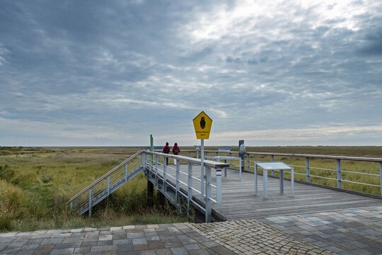Rural landscape at the coast of the North Sea and Waddenzee at Ording at Sleeswijk Holstein North Friesland Germany.. Jetty and German sign of a protected nature area.
