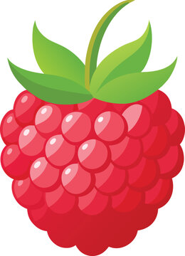 "Fresh Whole Ripe Raspberry Fruit with Green Leaves and Stem &mdash; Vibrant Bold Pink Berry Illustration for Food, Dessert, Health and Premium Packaging Design"