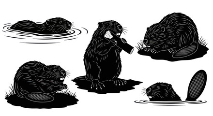 Vector Illustration of Beavers in Various Poses - Dam Building and Aquatic Life © purnama