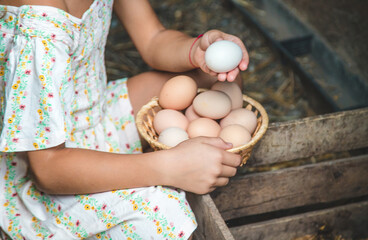 The child picks up the eggs in the chicken coop. Selective focus. © yanadjan