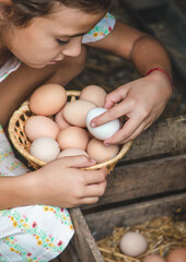 The child picks up the eggs in the chicken coop. Selective focus. © yanadjan