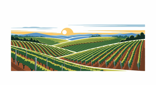 Expansive vineyard rows stretch across rolling hills under a setting sun